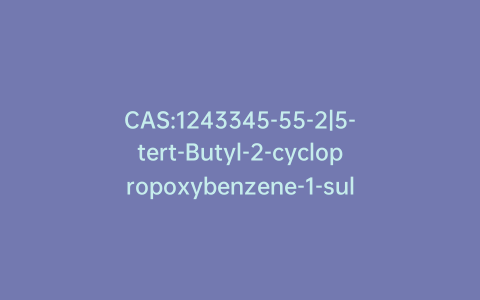 CAS:1243345-55-2|5-tert-Butyl-2-cyclopropoxybenzene-1-sulfonamide
