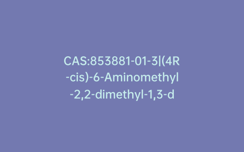 CAS:853881-01-3|(4R-cis)-6-Aminomethyl-2,2-dimethyl-1,3-dioxane-4-acetic Acid tert-Butyl Ester