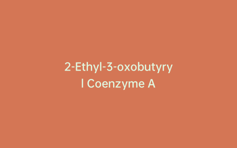 2-Ethyl-3-oxobutyryl Coenzyme A