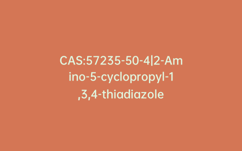 CAS:57235-50-4|2-Amino-5-cyclopropyl-1,3,4-thiadiazole