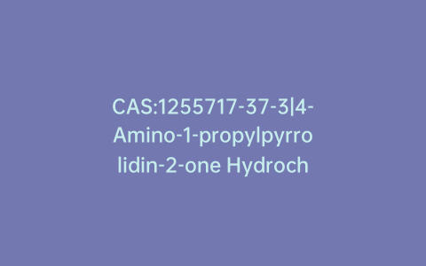 CAS:1255717-37-3|4-Amino-1-propylpyrrolidin-2-one Hydrochloride