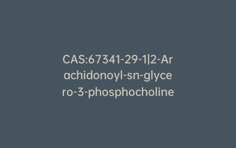CAS:67341-29-1|2-Arachidonoyl-sn-glycero-3-phosphocholine (>90%)