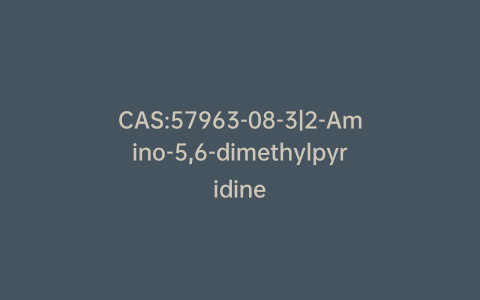 CAS:57963-08-3|2-Amino-5,6-dimethylpyridine