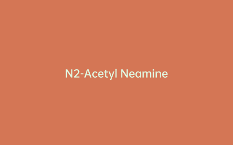N2-Acetyl Neamine