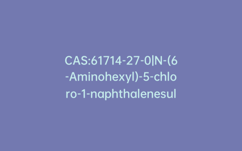 CAS:61714-27-0|N-(6-Aminohexyl)-5-chloro-1-naphthalenesulfonamide Hydrochloride