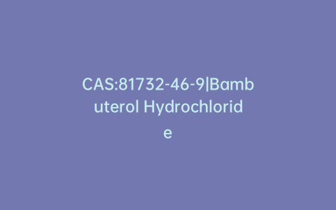CAS:81732-46-9|Bambuterol Hydrochloride