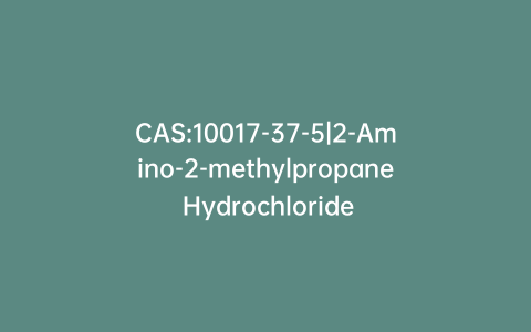 CAS:10017-37-5|2-Amino-2-methylpropane Hydrochloride