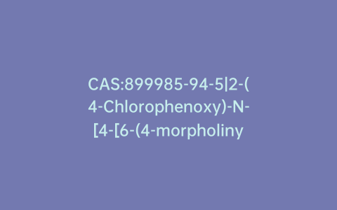 CAS:899985-94-5|2-(4-Chlorophenoxy)-N-[4-[6-(4-morpholinyl)-3-pyridazinyl]phenyl]acetamide