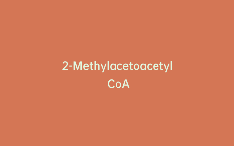 2-Methylacetoacetyl CoA