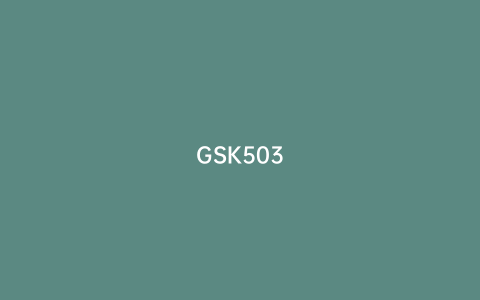 GSK503