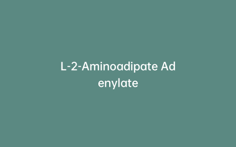 L-2-Aminoadipate Adenylate