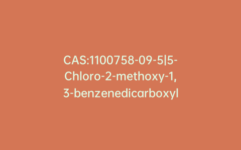 CAS:1100758-09-5|5-Chloro-2-methoxy-1,3-benzenedicarboxylic Acid