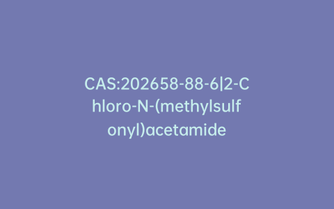 CAS:202658-88-6|2-Chloro-N-(methylsulfonyl)acetamide