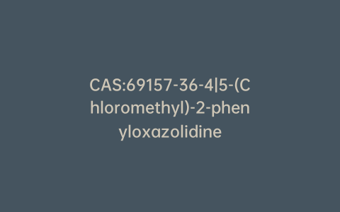 CAS:69157-36-4|5-(Chloromethyl)-2-phenyloxazolidine