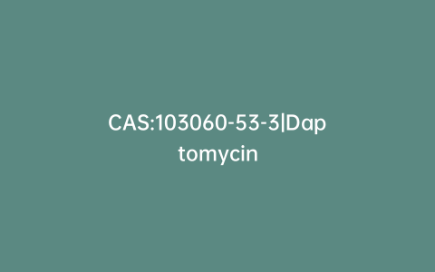 CAS:103060-53-3|Daptomycin
