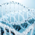 Commercial Applications of HAMA hydrogel in the Medical and Pharmaceutical Field