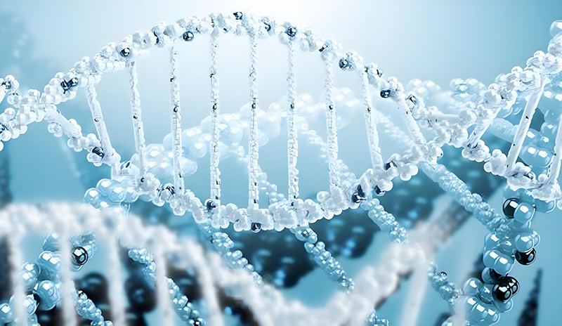 Commercial Applications of HAMA hydrogel in the Medical and Pharmaceutical Field