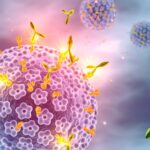 Nano Power, Precise Strike — A Revolutionary Leap in Targeted Drug Delivery with HA-PEI Micelles