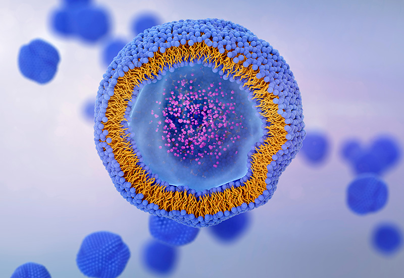 PAM/PANI Hydrogels: Ushering Drug Release into the Era of Smart Responsiveness