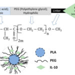 PLA-PEG Microspheres: Modular Building Blocks for Tissue Regeneration
