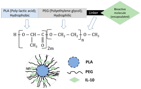 PLA-PEG Microspheres: Modular Building Blocks for Tissue Regeneration