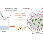 HSA-PLGA Nanoparticles: Prescription Development and Optimization in CDMO Services