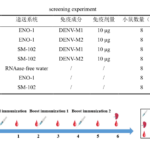 SM-102 Lipid Delivery with Ebclink Services — Accelerating the Development of Tetravalent Dengue mRNA Vaccines