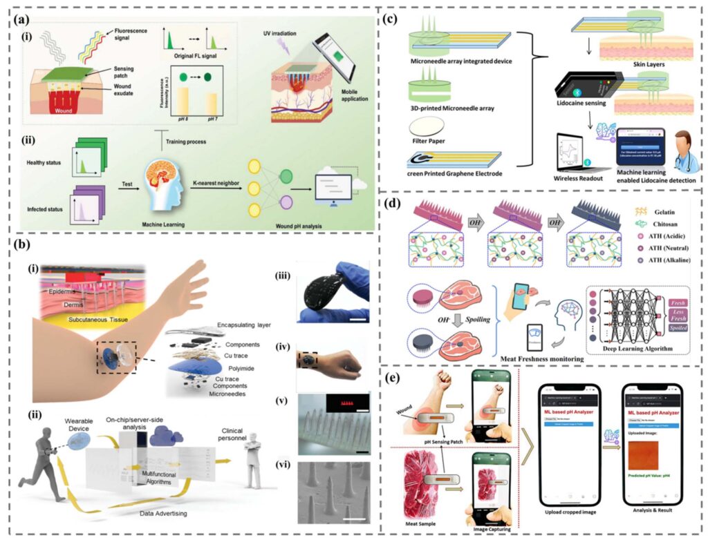 Colchicine Silk Fibroin Microneedles: Transdermal Therapy for Acute Gouty Arthritis – Ebclink Achieves Kilo-Scale Production and Full CDMO Support