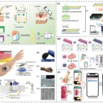 Colchicine Silk Fibroin Microneedles: Transdermal Therapy for Acute Gouty Arthritis – Ebclink Achieves Kilo-Scale Production and Full CDMO Support
